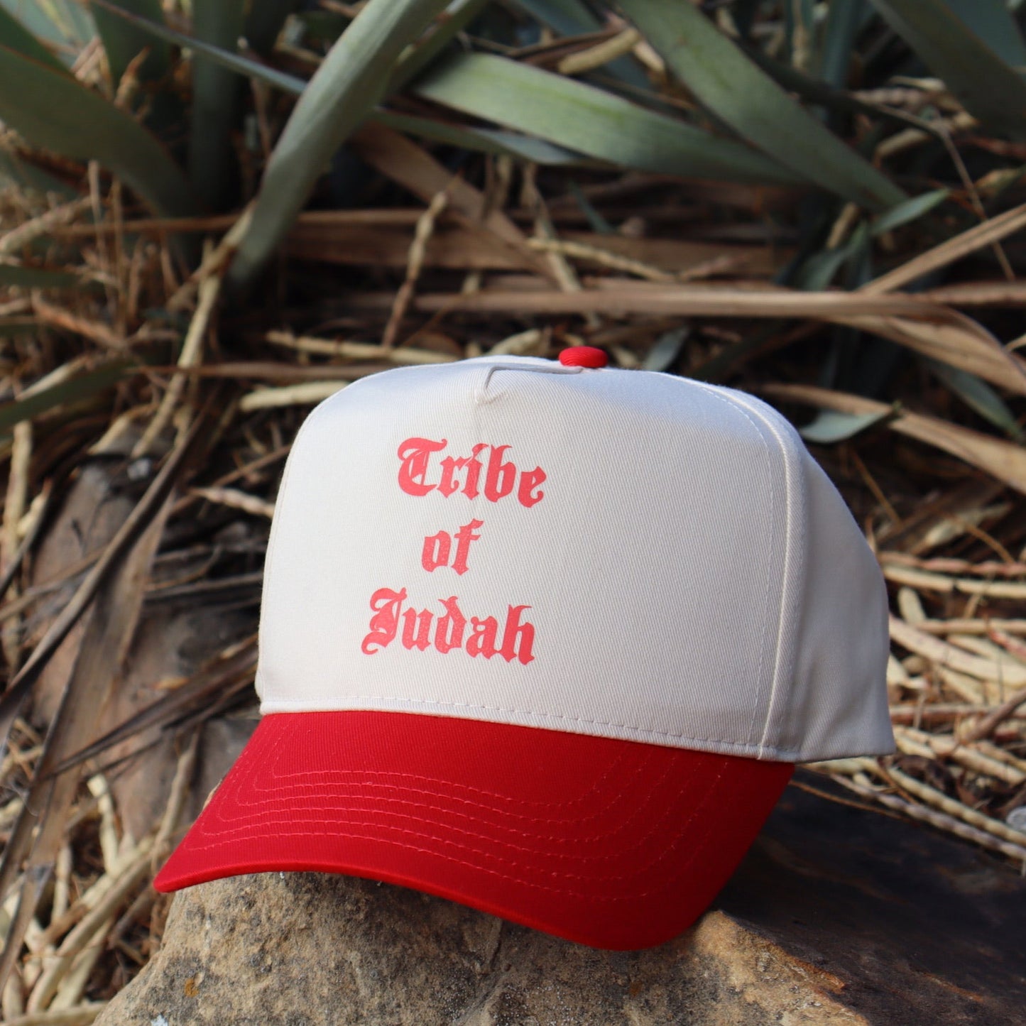 Tribe of Judah Hat