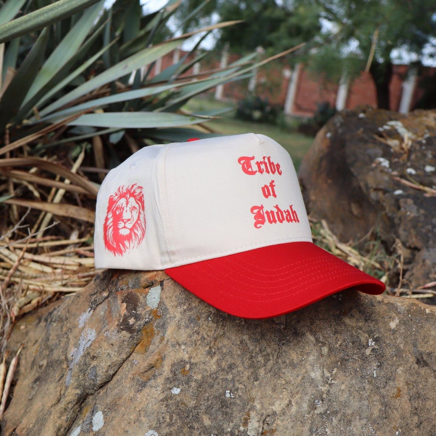 Tribe of Judah Hat
